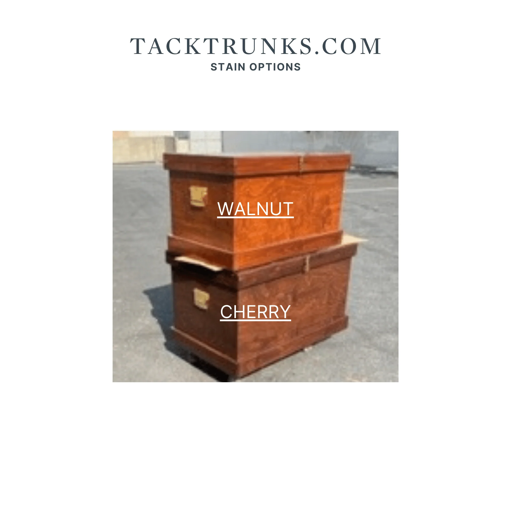 Prestige Wood Tack Trunk - Image 3